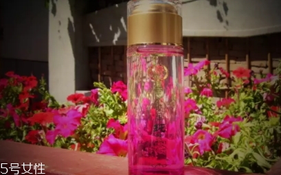 苦水玫瑰介绍(苦水玫瑰介绍)