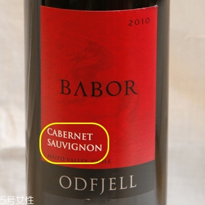 选酒心法2：从葡萄品种喝起(葡萄酒鉴赏教程考试答案)