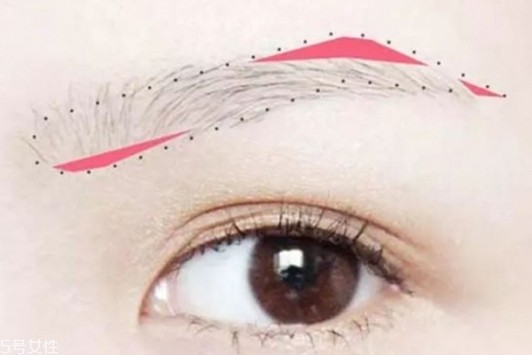 画眉注意事项(画眉注意事项)