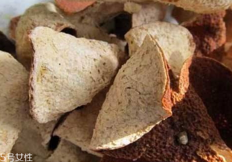 陈皮长虫了怎么办(陈皮长虫了怎么办)