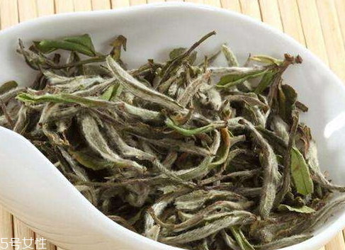 白茶可以天天喝吗(白茶冬天能喝吗)