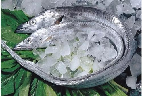 冰冻带鱼的处理方法(冰冻带鱼的处理方法)