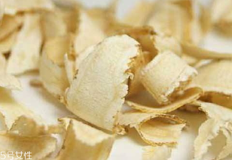 黄芪西洋参泡水功效(黄芪西洋参泡水功效和作用)