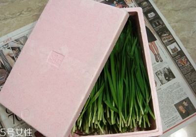 韭菜水分不流失的保存技巧(韭菜的保存方法)