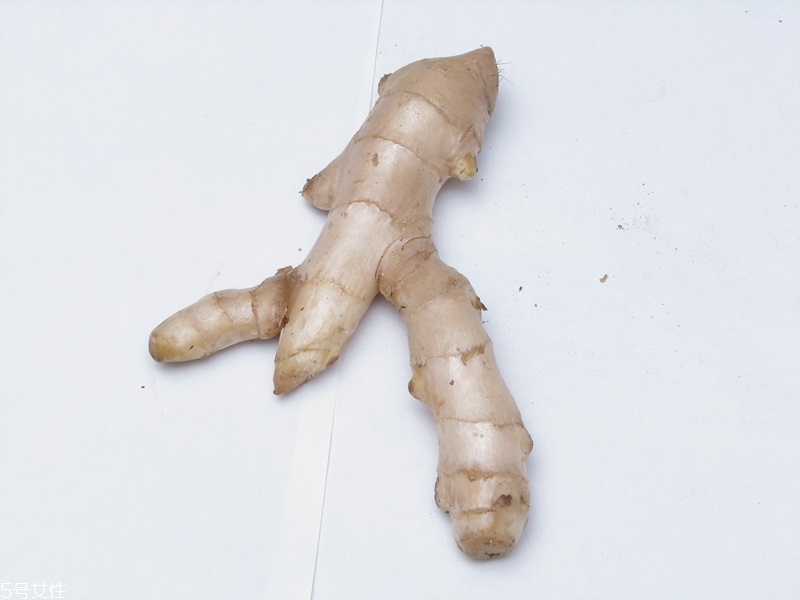 粉姜的基本常识(姜粉是什么)