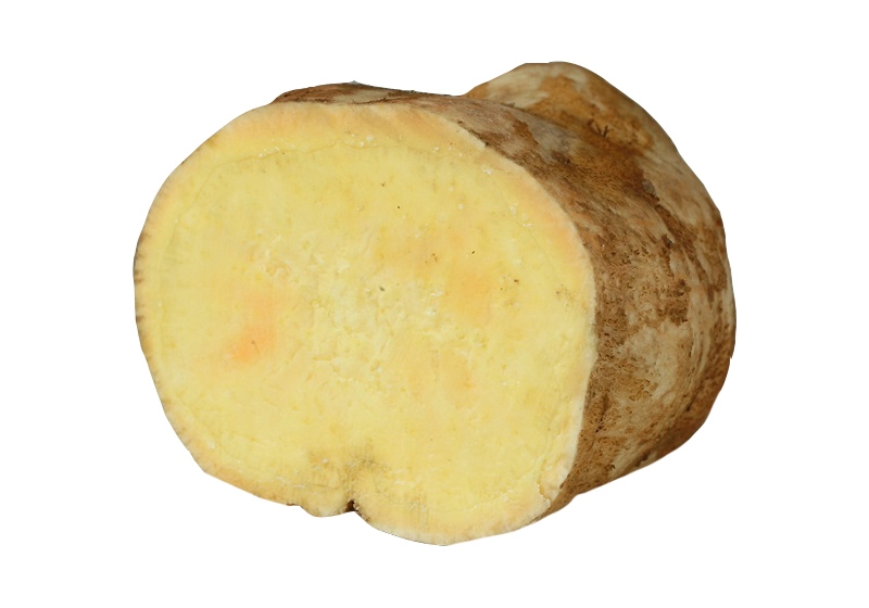 地瓜品种有这些(地瓜品种有哪些)