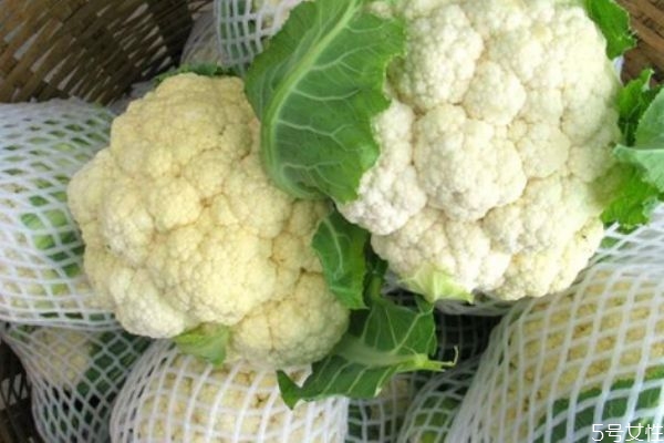 花菜怎么洗干净(西兰花怎样洗干净) 花菜怎么洗干净(西兰花怎样洗干净)