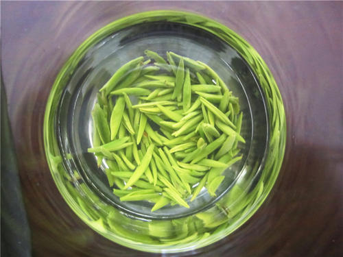 蒙顶石花的特征(蒙顶山石花)