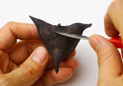 菱角怎么剥壳(菱角怎么剥壳最简单?)