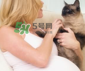 孕期如何科学养猫(孕期如何科学养猫) 孕期如何科学养猫(孕期如何科学养猫)