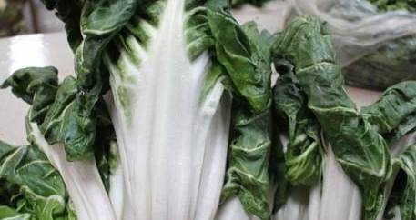 吃牛皮菜注意事项(哪些人不宜吃牛皮菜) 吃牛皮菜注意事项(哪些人不宜吃牛皮菜)