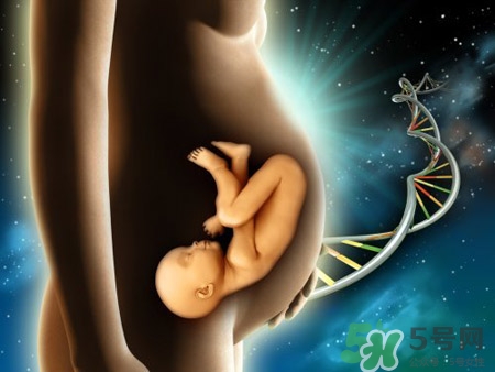 爱乐维的保质期是多久(爱乐维的保质期是多久)