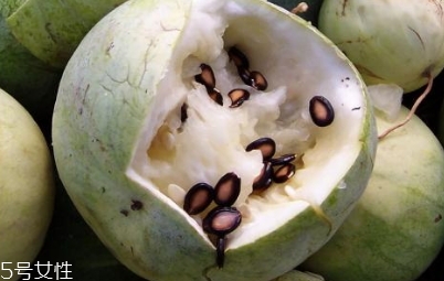 打瓜的营养价值(打瓜的营养价值和功效)