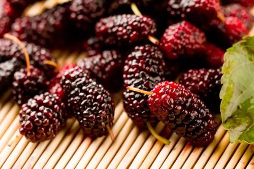 桑葚有哪些吃法(桑葚有哪些吃法呢)