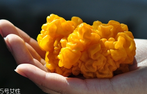 孕妇怎么吃金耳(孕妇怎么吃金耳)