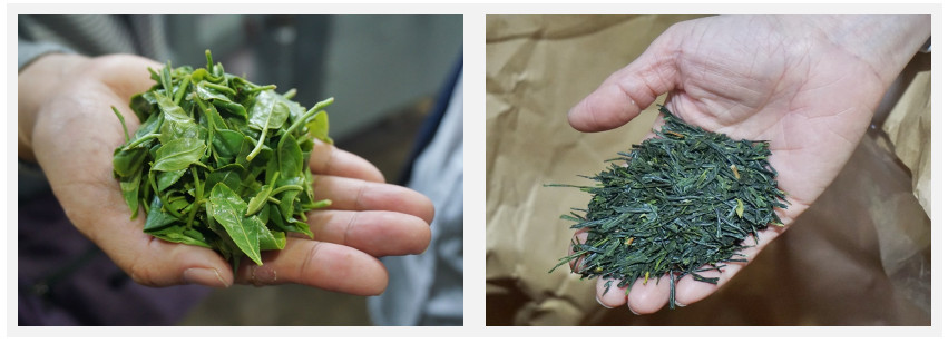 日本茶制茶流程(日本泡茶步骤) 日本茶制茶流程(日本泡茶步骤)