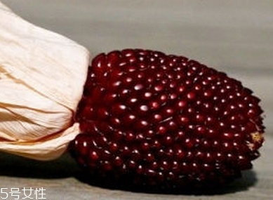 其他食用方法(食物的食用方法)