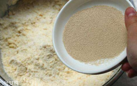 酵母粉的作用(酵母粉的作用和功效)