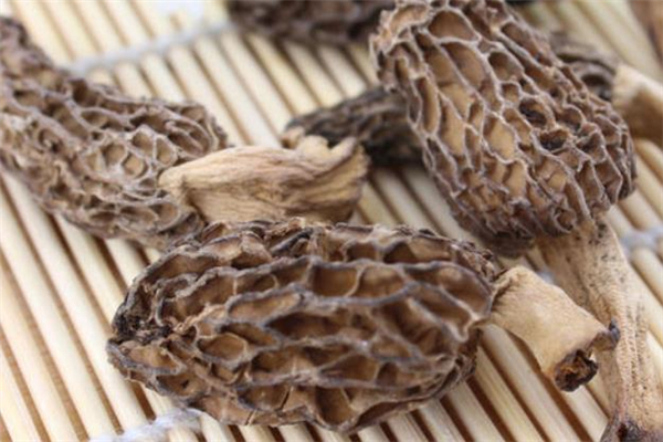 羊肚菌的营养价值(羊肚菌的营养价值及功效和作用) 羊肚菌的营养价值(羊肚菌的营养价值及功效和作用)