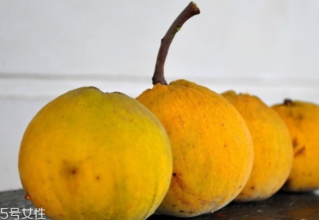 山陀儿的功效(山陀儿的功效)