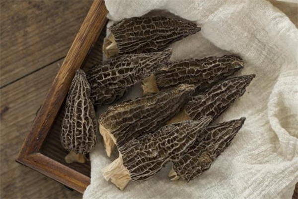 羊肚菌禁忌人群(羊肚菌禁忌人群)