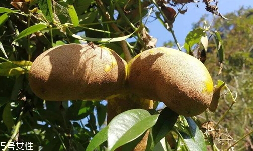 吃牛卵坨有什么好处(吃牛卵坨有什么功效)