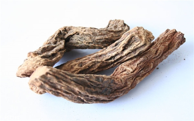 锁阳的功效和作用(锁阳固精丸的功效和作用) 锁阳的功效和作用(锁阳固精丸的功效和作用)