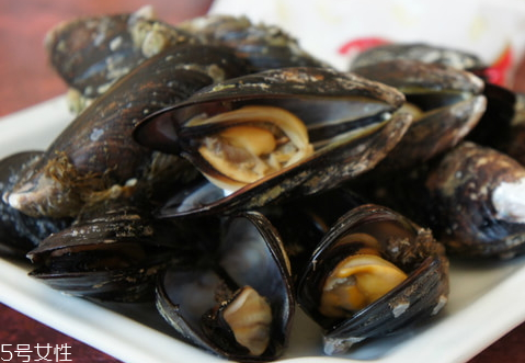 淡菜的营养价值(淡菜的营养价值及功效和作用)
