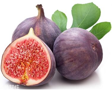 吃水果的6个黄金时间(每天吃水果的黄金时间) 吃水果的6个黄金时间(每天吃水果的黄金时间)