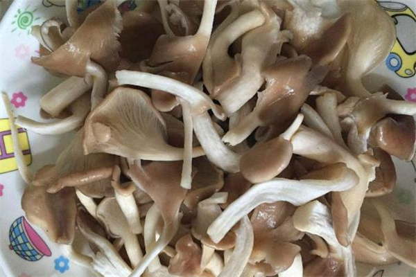 平菇的家常做法(平菇的家常做法大全) 平菇的家常做法(平菇的家常做法大全)