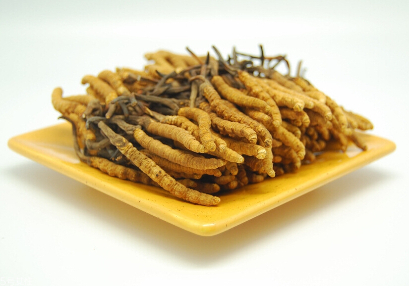 冬虫夏草如何选购(冬虫夏草怎么选最好)