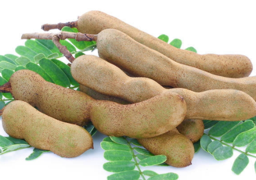 酸角食疗药方(酸角食用方法)