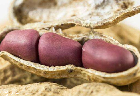 长生果怎么吃(长生果怎么吃) 长生果怎么吃(长生果怎么吃)