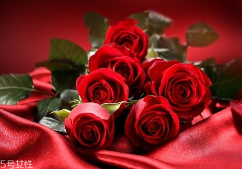 情人节为什么送玫瑰花(情人节为什么送玫瑰花?)