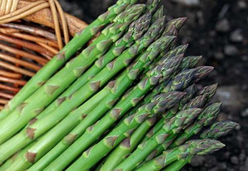 芦笋煮多久能熟(水煮芦笋需要几分钟)