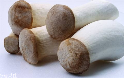 鸡腿菇怎么煮(鸡腿菇怎么煮好吃) 鸡腿菇怎么煮(鸡腿菇怎么煮好吃)