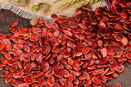 红瓜子是什么瓜的籽(红瓜子是什么瓜的籽)