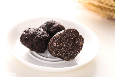 松露怎么分辨真假(松露如何鉴别)