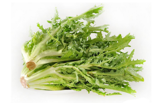 苦菊的功效和作用(苦菊的功效和作用及营养价值) 苦菊的功效和作用(苦菊的功效和作用及营养价值)