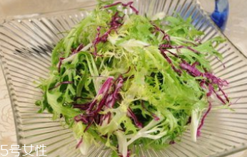 苦菊是什么(苦菊是什么菜)