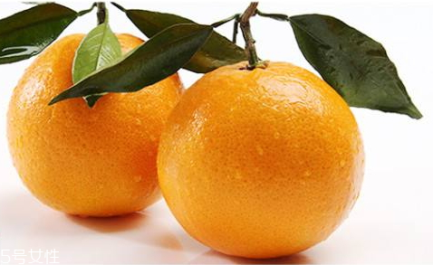 秭归脐橙的特点(秭归脐橙的特点)