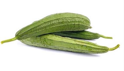 丝瓜和黄瓜能一起吃吗(丝瓜和黄瓜能一起吃吗)