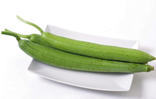 吃丝瓜能减肥的原因(吃丝瓜能起到减肥的作用吗)