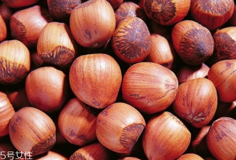 榛子的用途(榛子的作用和用途)