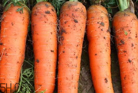 胡萝卜里面变黑能吃吗(胡萝卜变黑了还能吃吗)