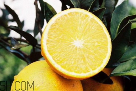 冰糖橙可以放冰箱吗(冰糖橙可以放冰箱吗)