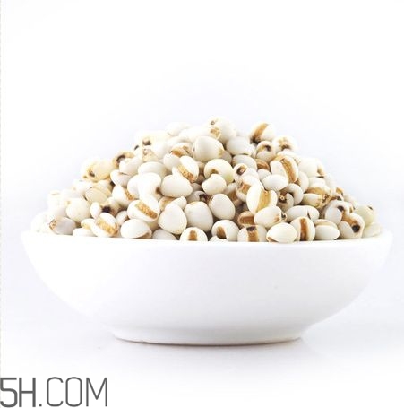 薏米的功效(薏米的功效和作用的功能和主治)