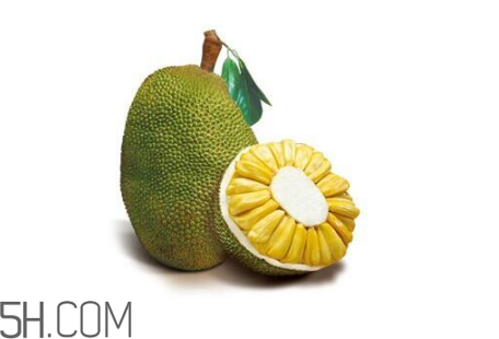 吃菠萝蜜拉肚子怎么办(吃菠萝蜜拉肚子怎么办)