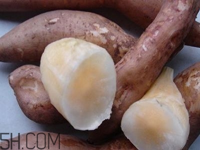 怎么挑选雪莲果(怎么挑选雪莲果是好的)