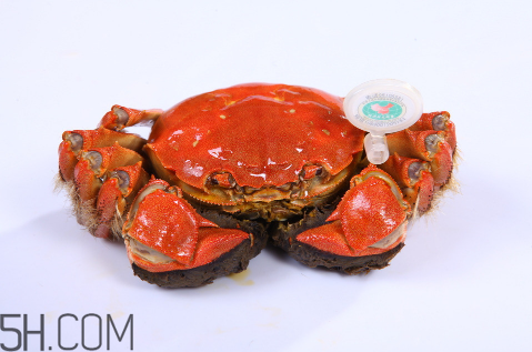 吃螃蟹的禁忌(吃螃蟹的禁忌什么食物)